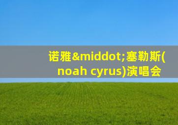 诺雅·塞勒斯(noah cyrus)演唱会